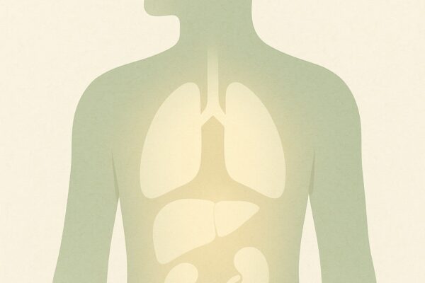 Why you are always tired